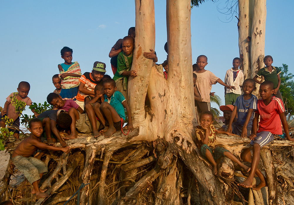 Hele hoop kinderen poseren in Pangalane bij de wortelen van een boom, Madagaskar