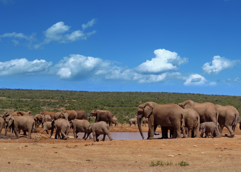 Familieavontuur dwars door de regenboognatie