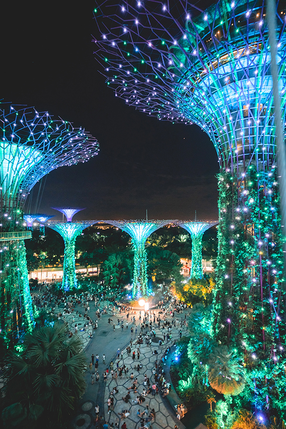 's avonds in SIngapore gardens by the bay rondreis
