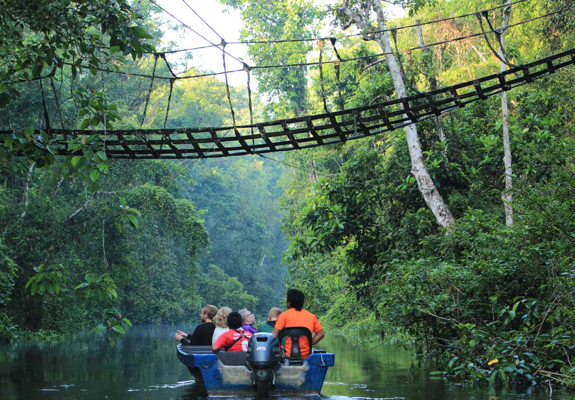 Mensen in een bootje op de Kinabatangan rivier opzoek naar orang oetans tijdens een rondreis door Maleisisch Borneo