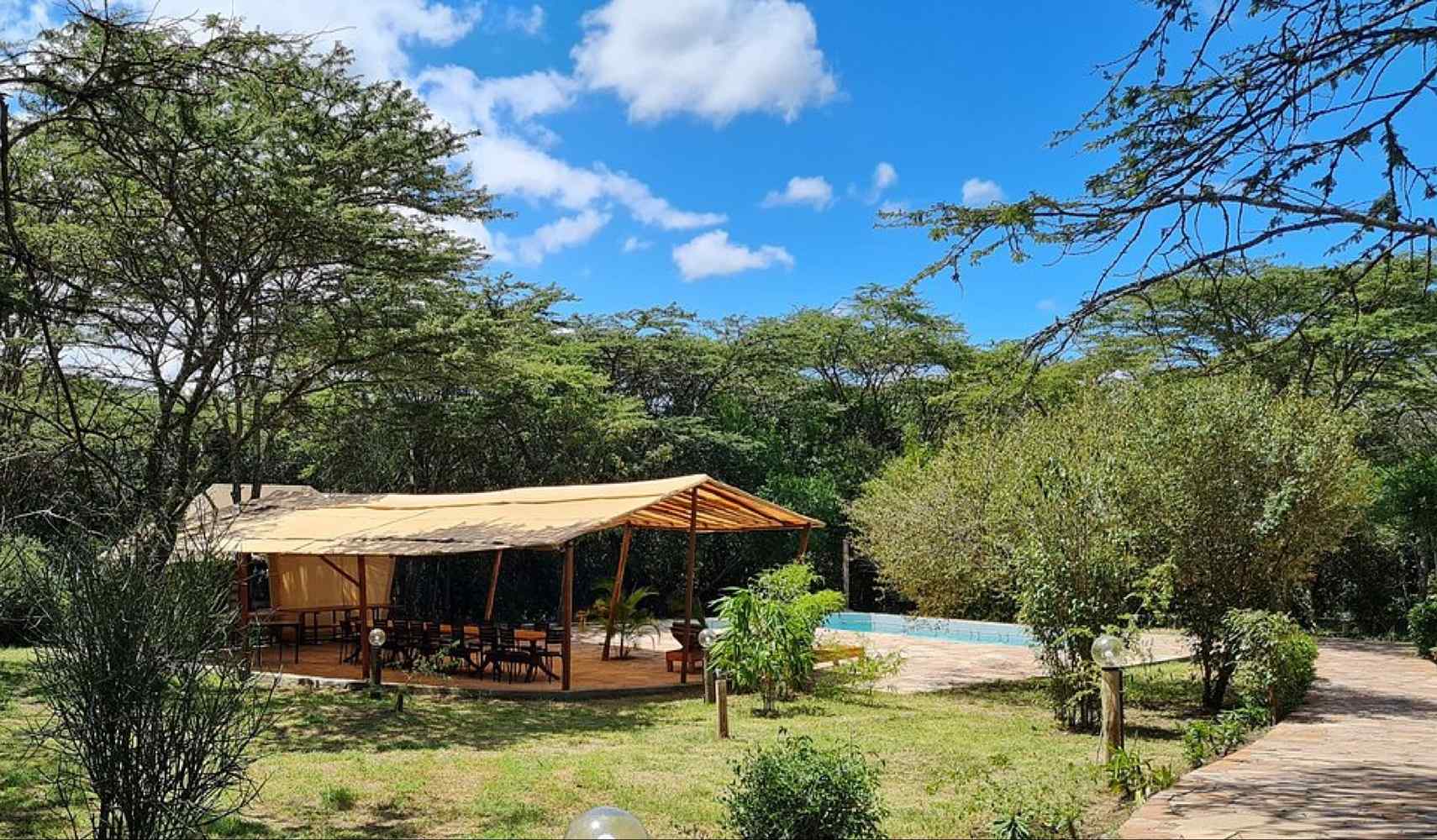 Kenia accommodatie: Mara Kimana tented lodge