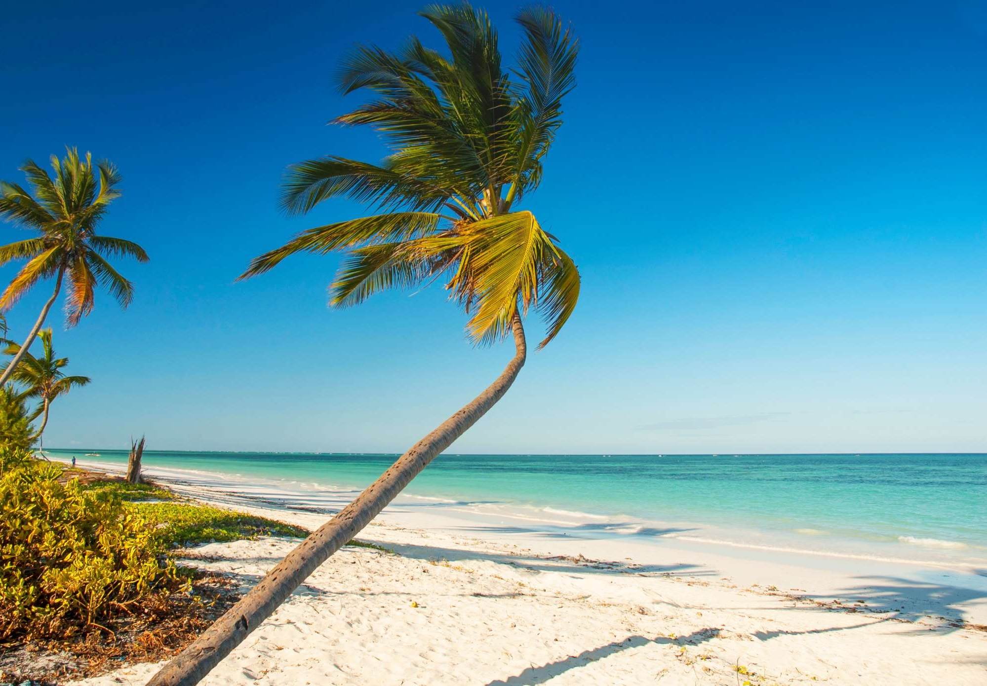 Tanzania, het strand bij Pangani