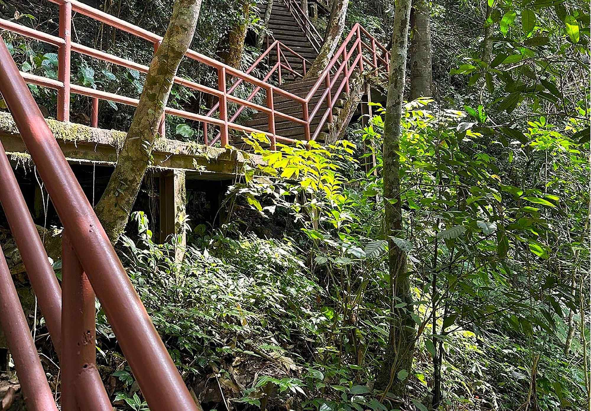 Thailand: een loopbrug in Khao yai