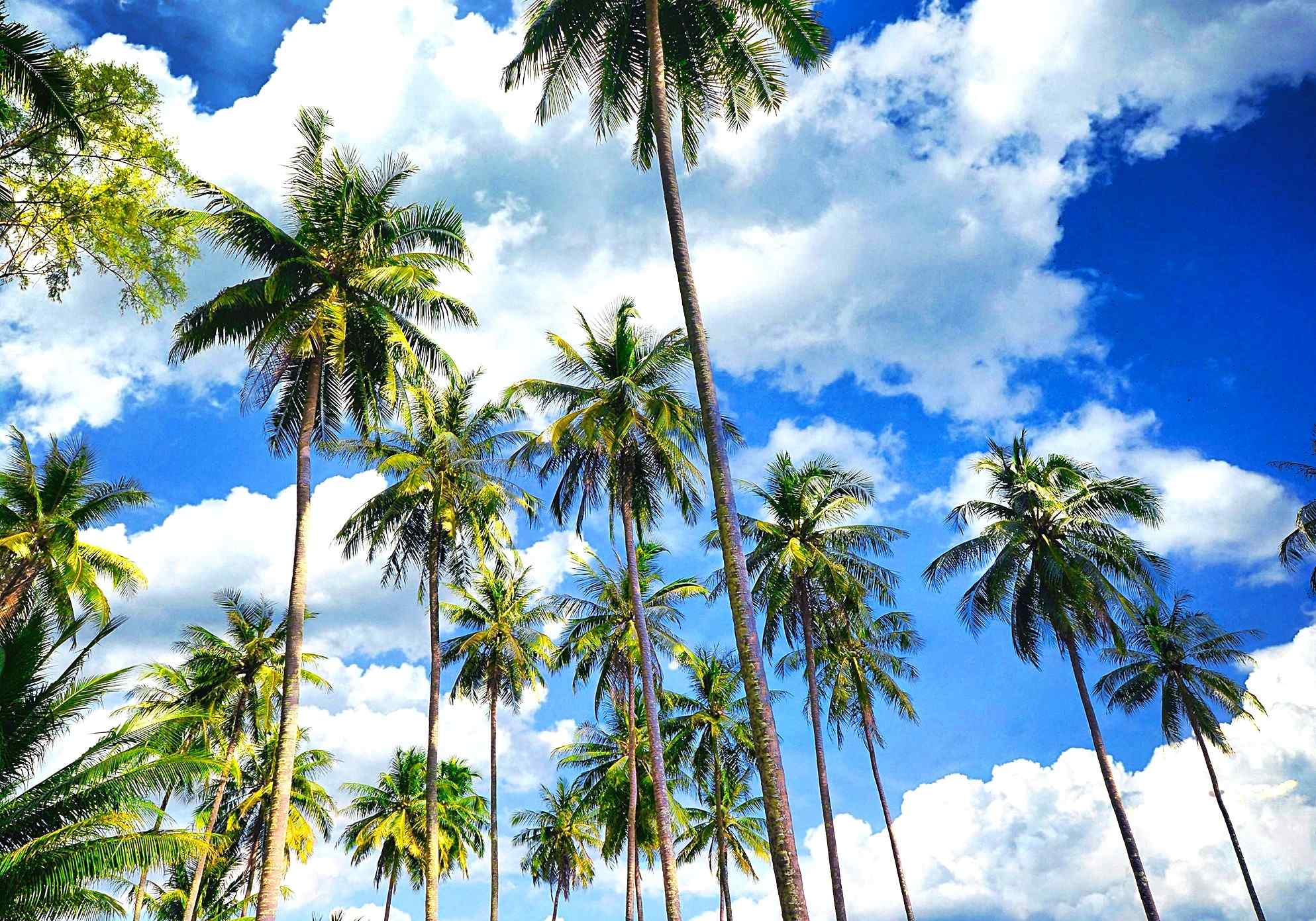 chillen op Koh Chang, Thailand