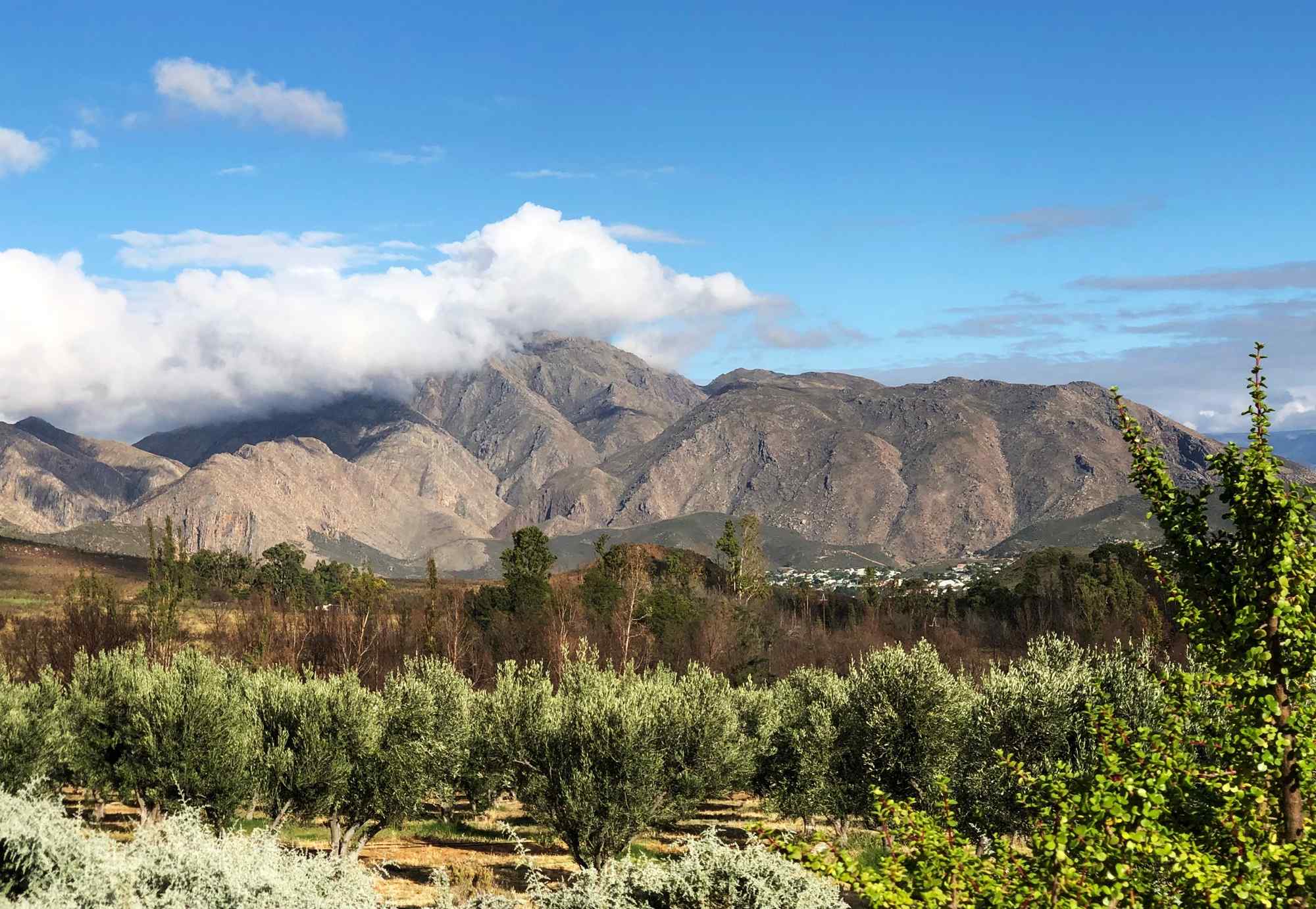 De Tuinroute, onderweg door Swellendam