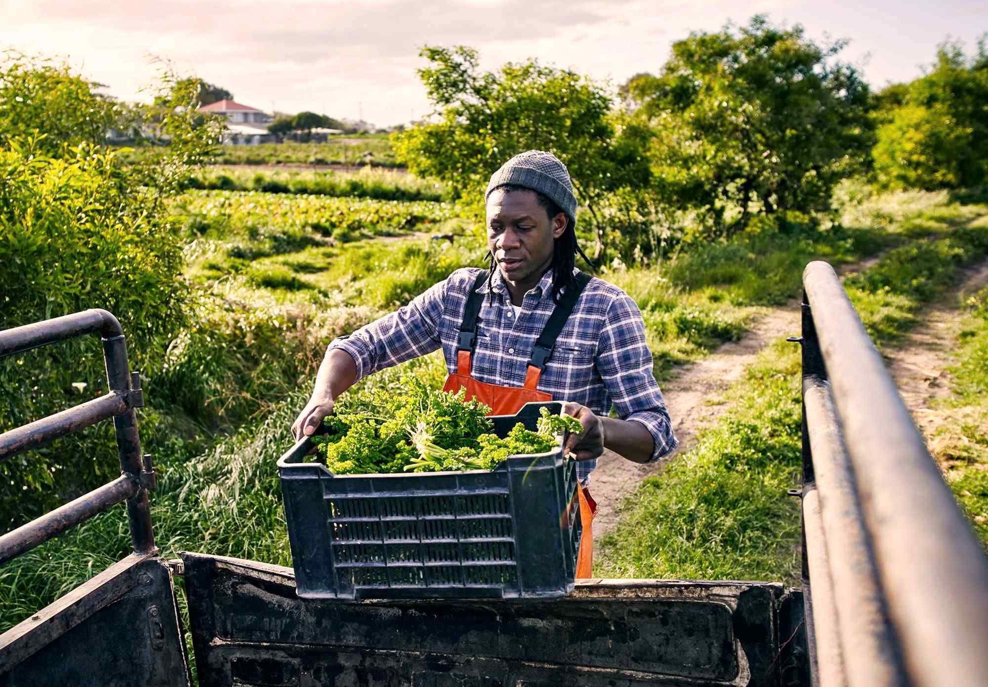 Zuid-Afrika, rondreis Limpopo