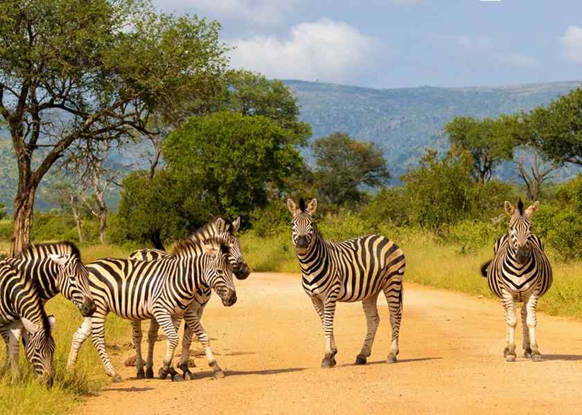 Zuid-Afrika, rondreizen
