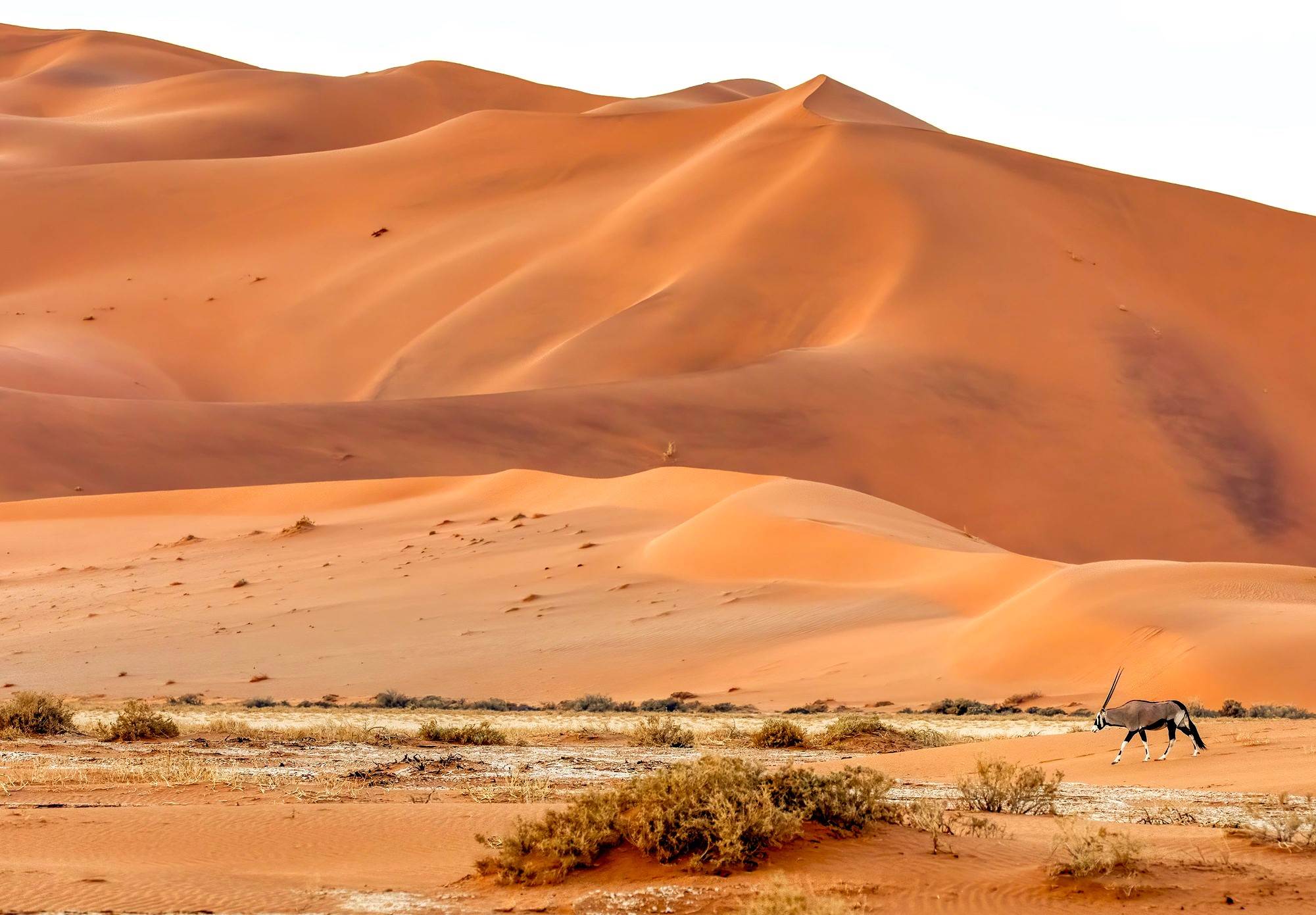de mooie Sossusvlei in Namibie