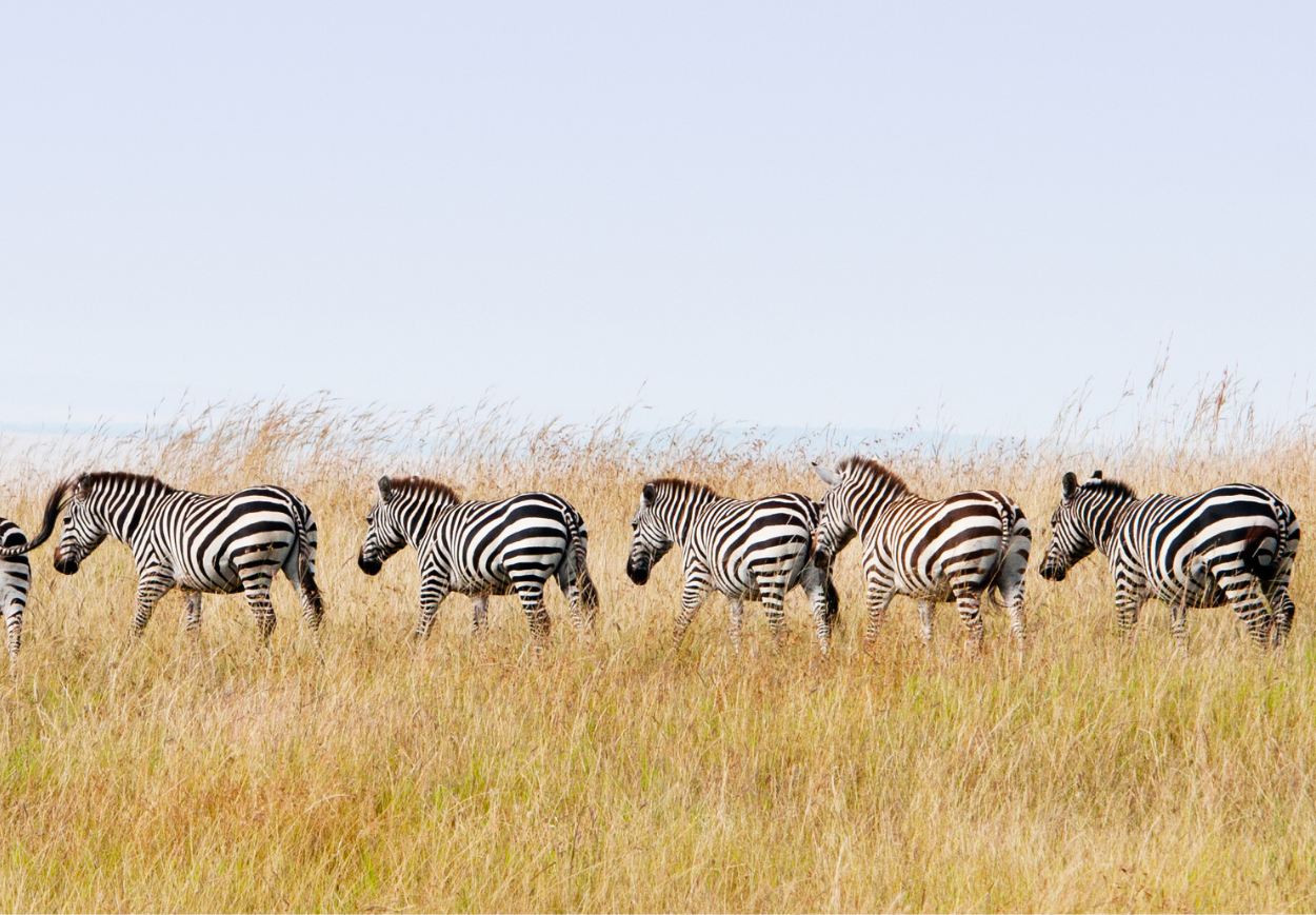 Familieavontuur Malariavrij