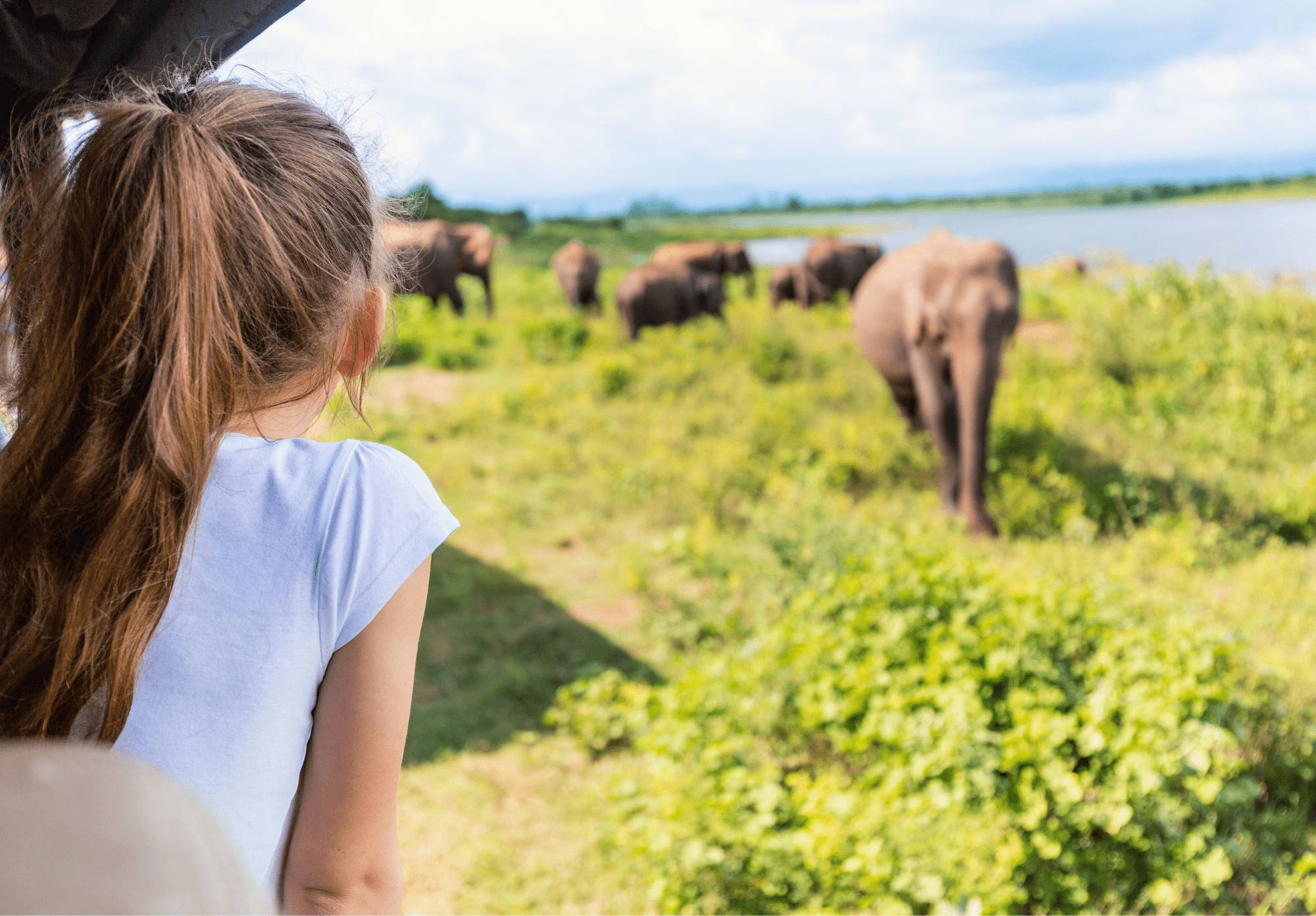 Zuid-Afrika-Malariavrije-Safari-Madikwe