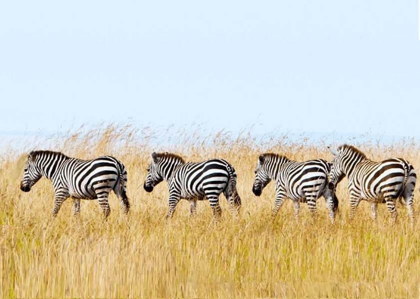 Familieavontuur malariavrij Zuid-Afrika