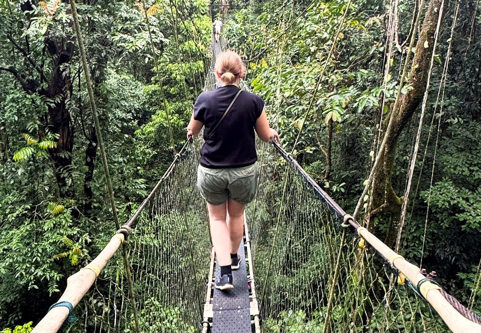 Maleisie reisverslag, canopy in Mulu