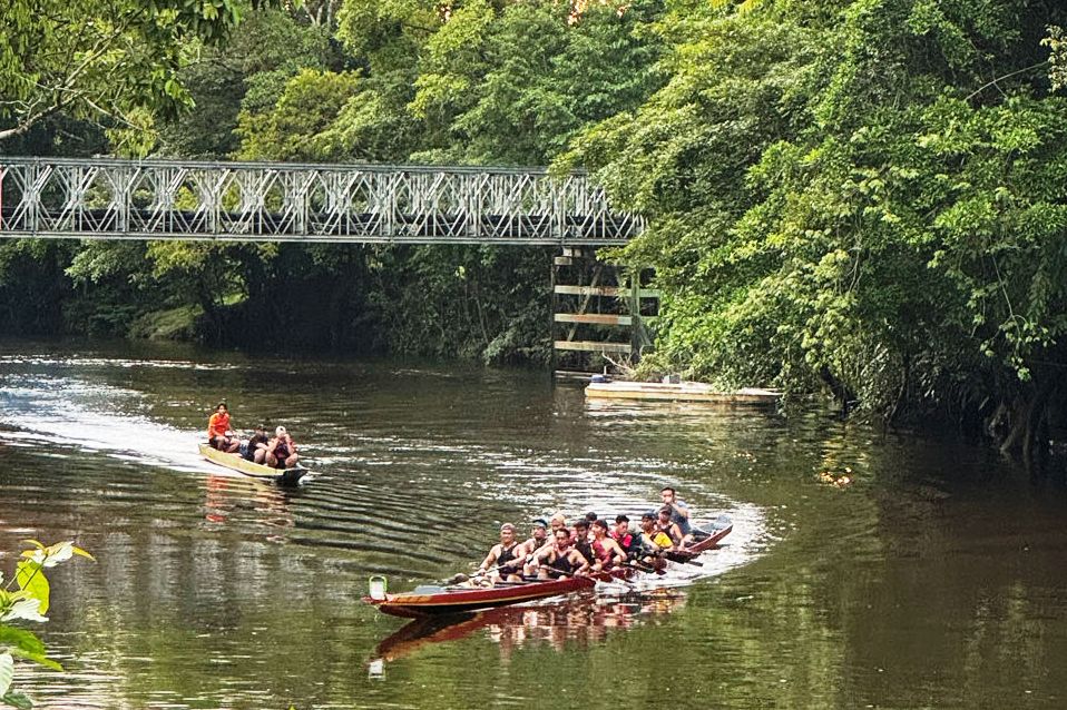 Maleisie reisverslag, varen door de jungle van Mulu