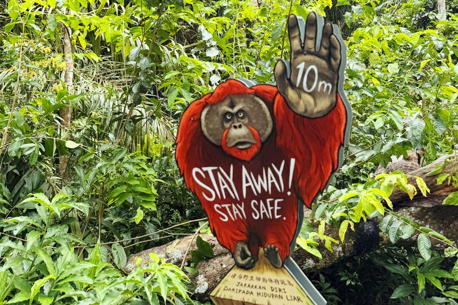 Reisverslag, Sepilok