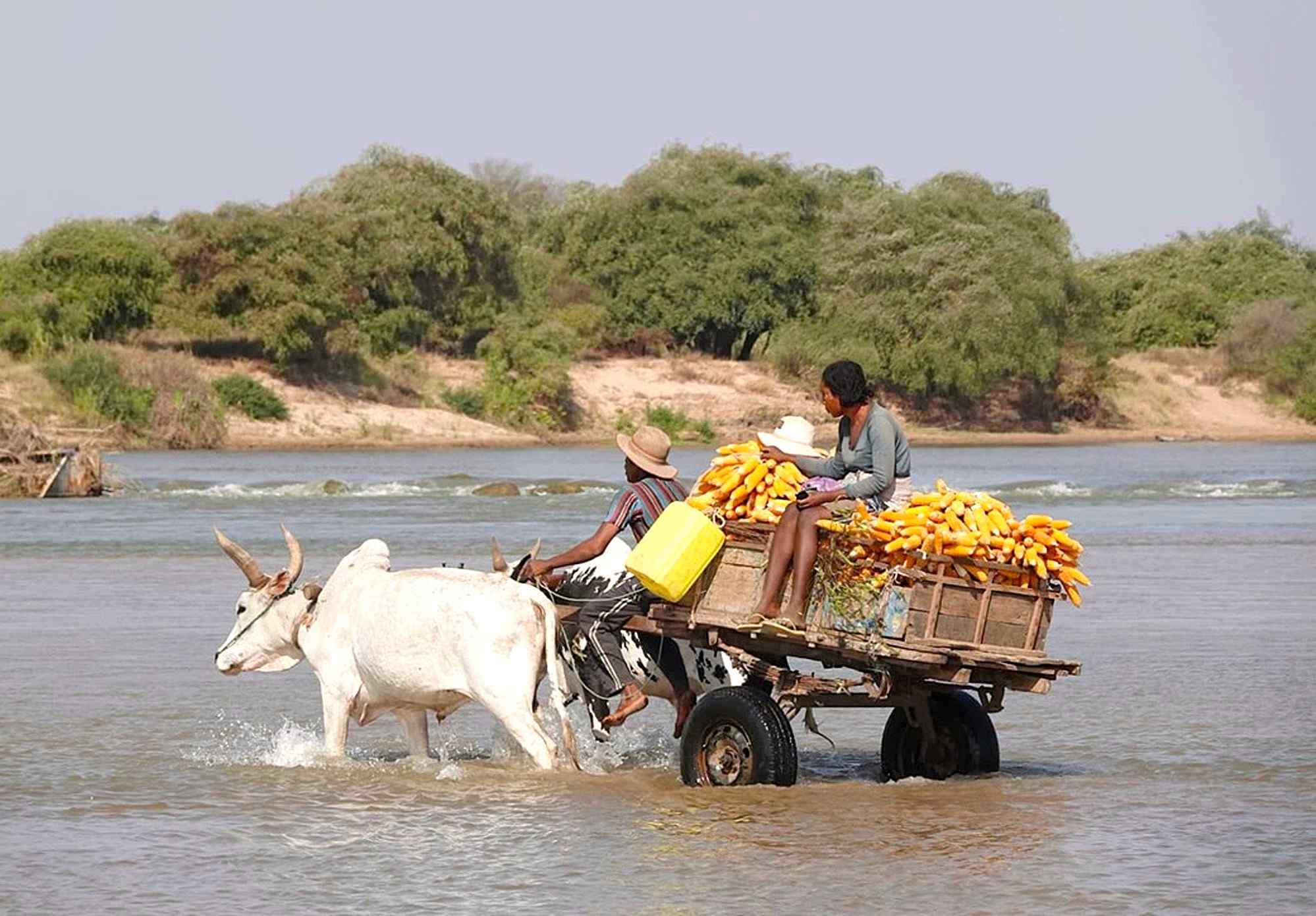Onderweg in Madagascar