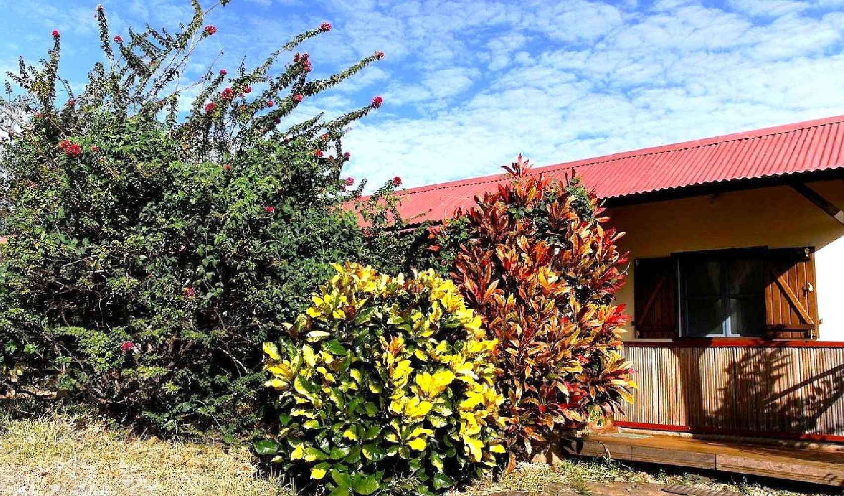 Le relais de l’Ankarana