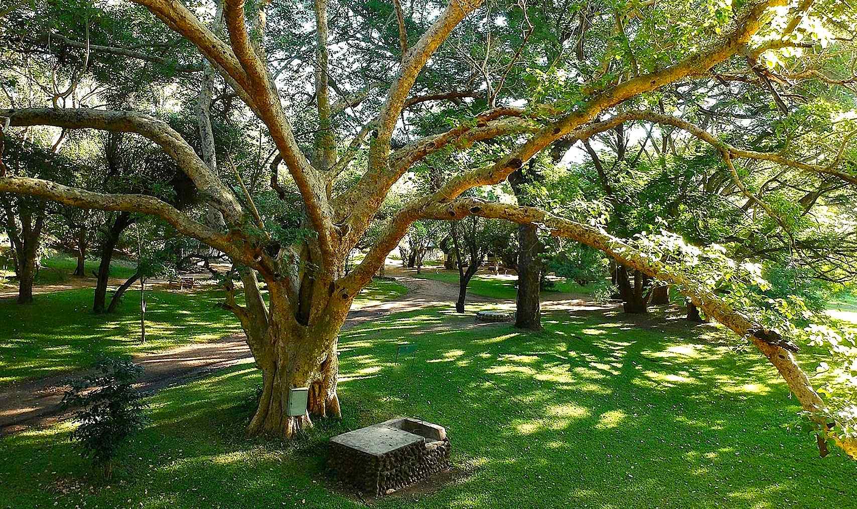 Gwabi River Lodge Camping