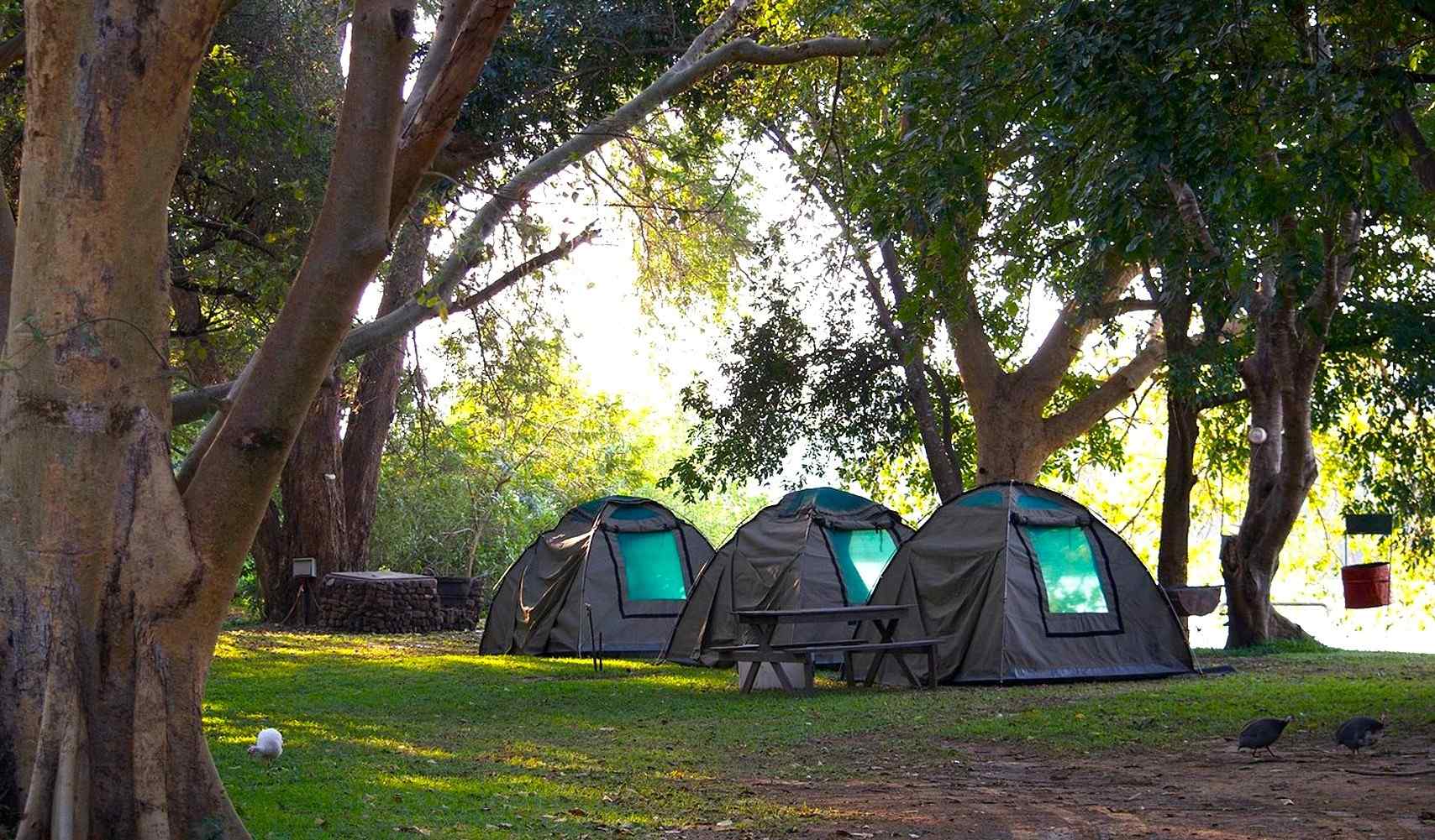 Gwabi River Lodge Camping