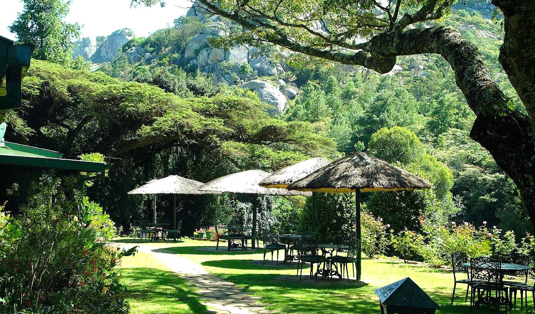 Zimbabwe-Nyange-Pine-Tree-Inn