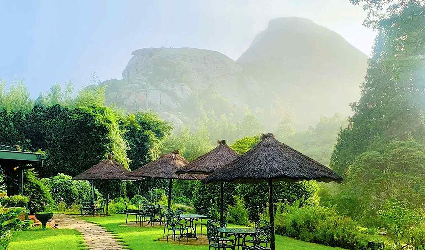 Zimbabwe-Nyange-Pine-Tree-Inn