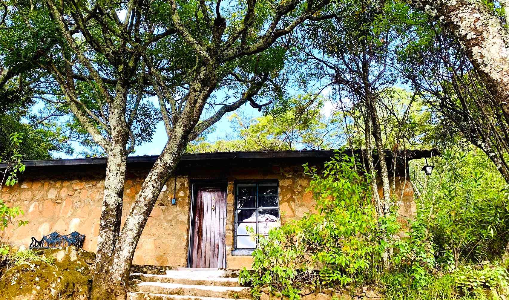 Zimbabwe-Nyange-Pine-Tree-Inn