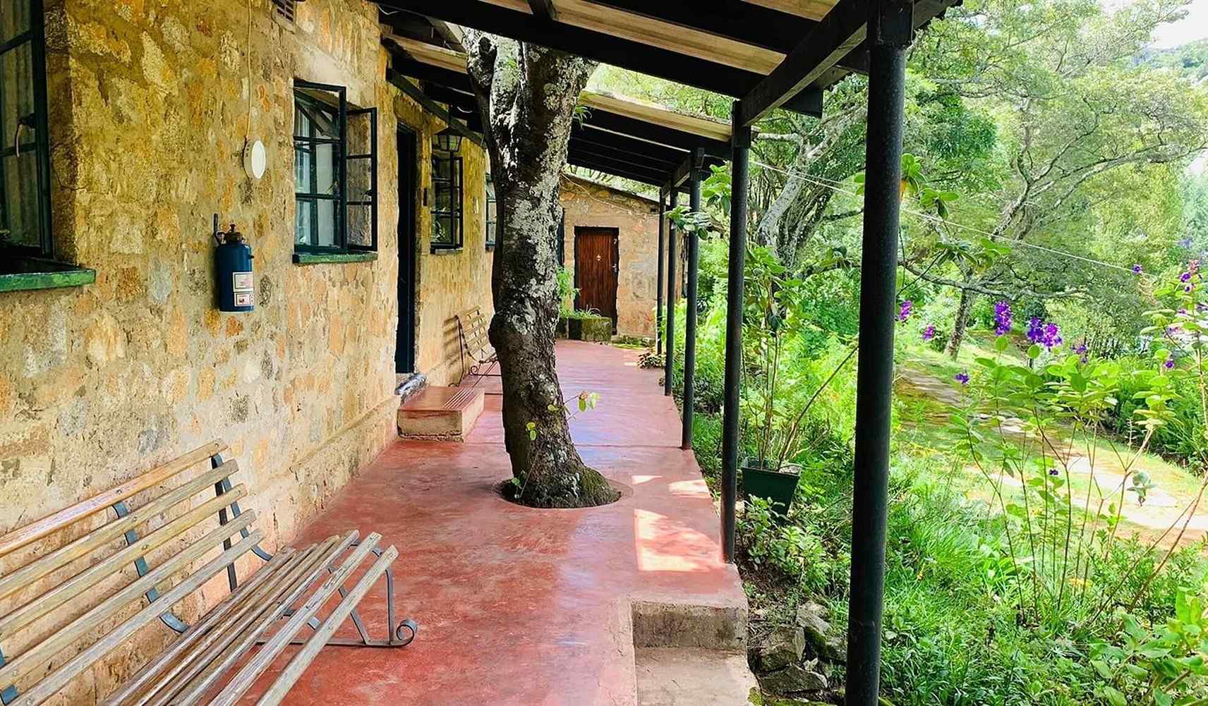 Zimbabwe-Nyange-Pine-Tree-Inn