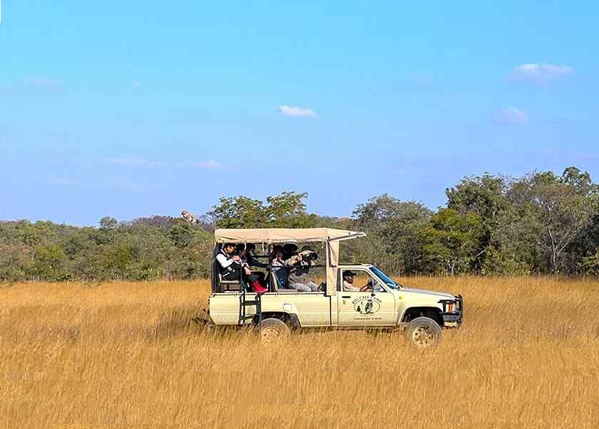 jeep op safari in Zimbabwe