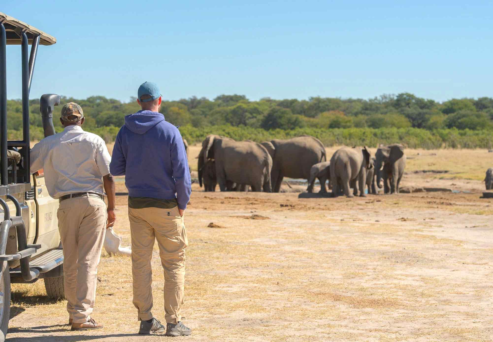 safari-in-Hwange, Zimbabwe