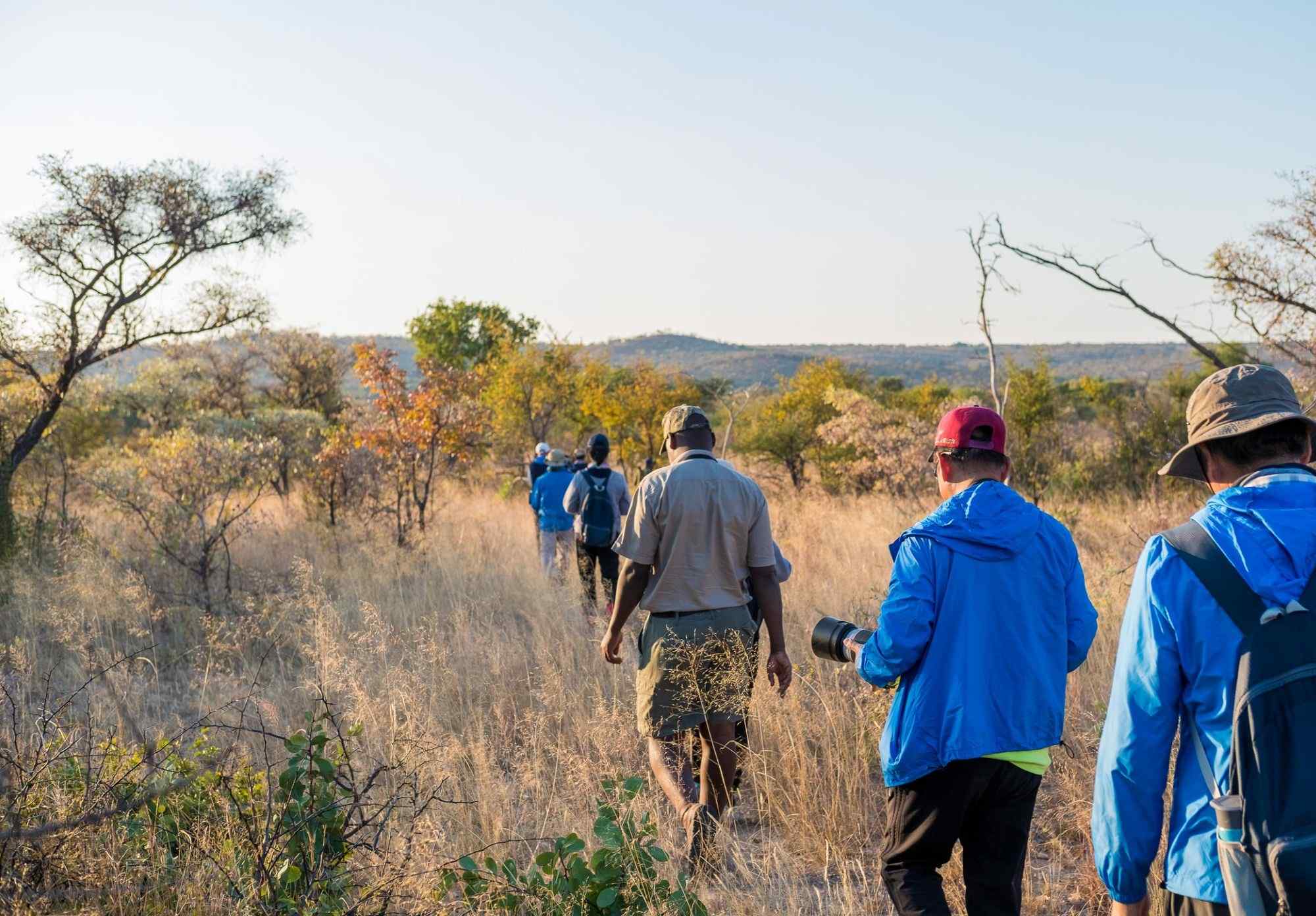 wandelen met een groep door het landschap van Zimbabwe