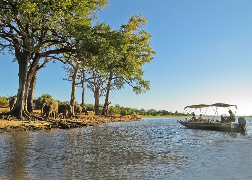 Groepsreis Zuid-Afrika, Zimbabwe & Botswana