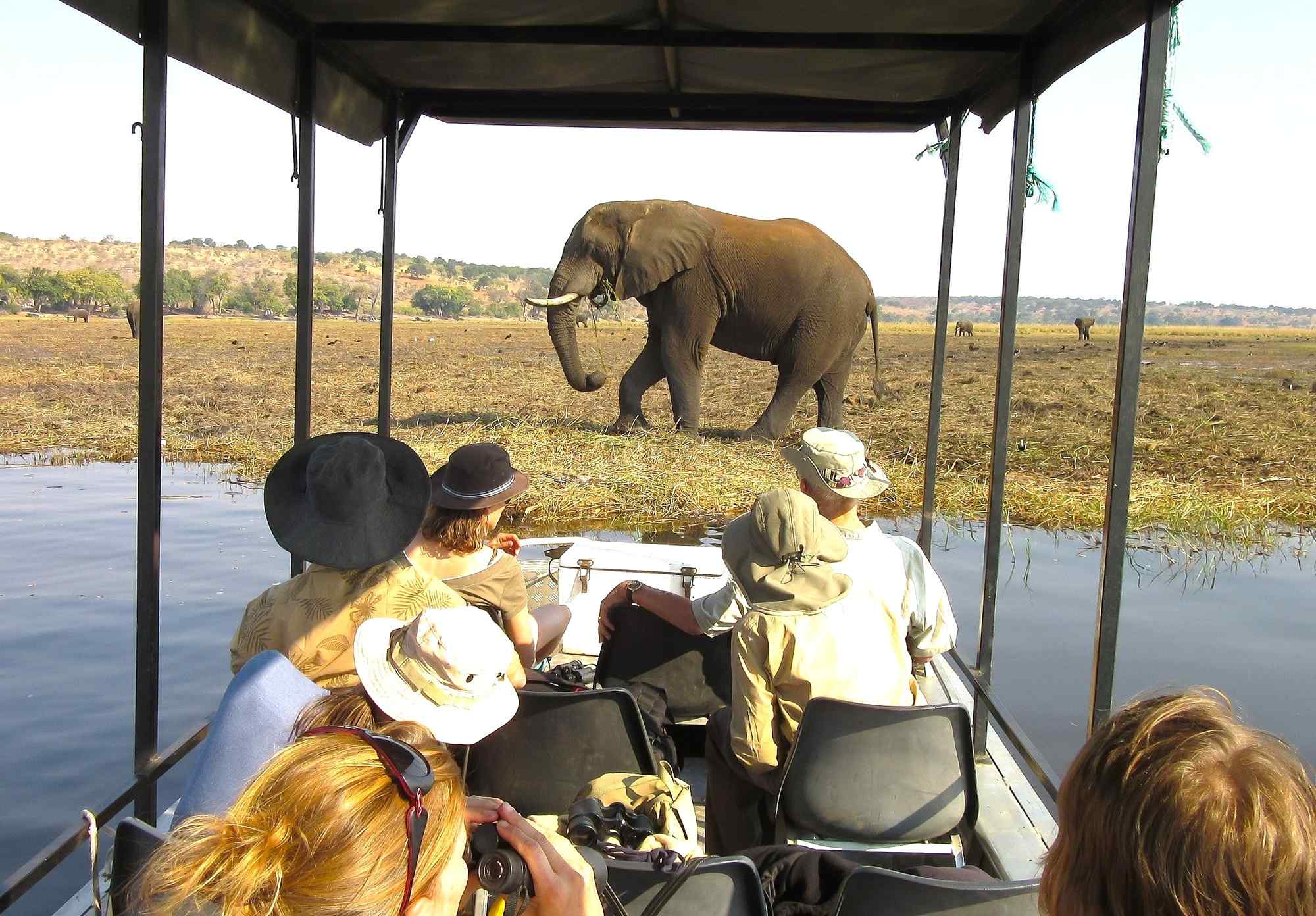 Botswana-bootsafari-in-Chobe