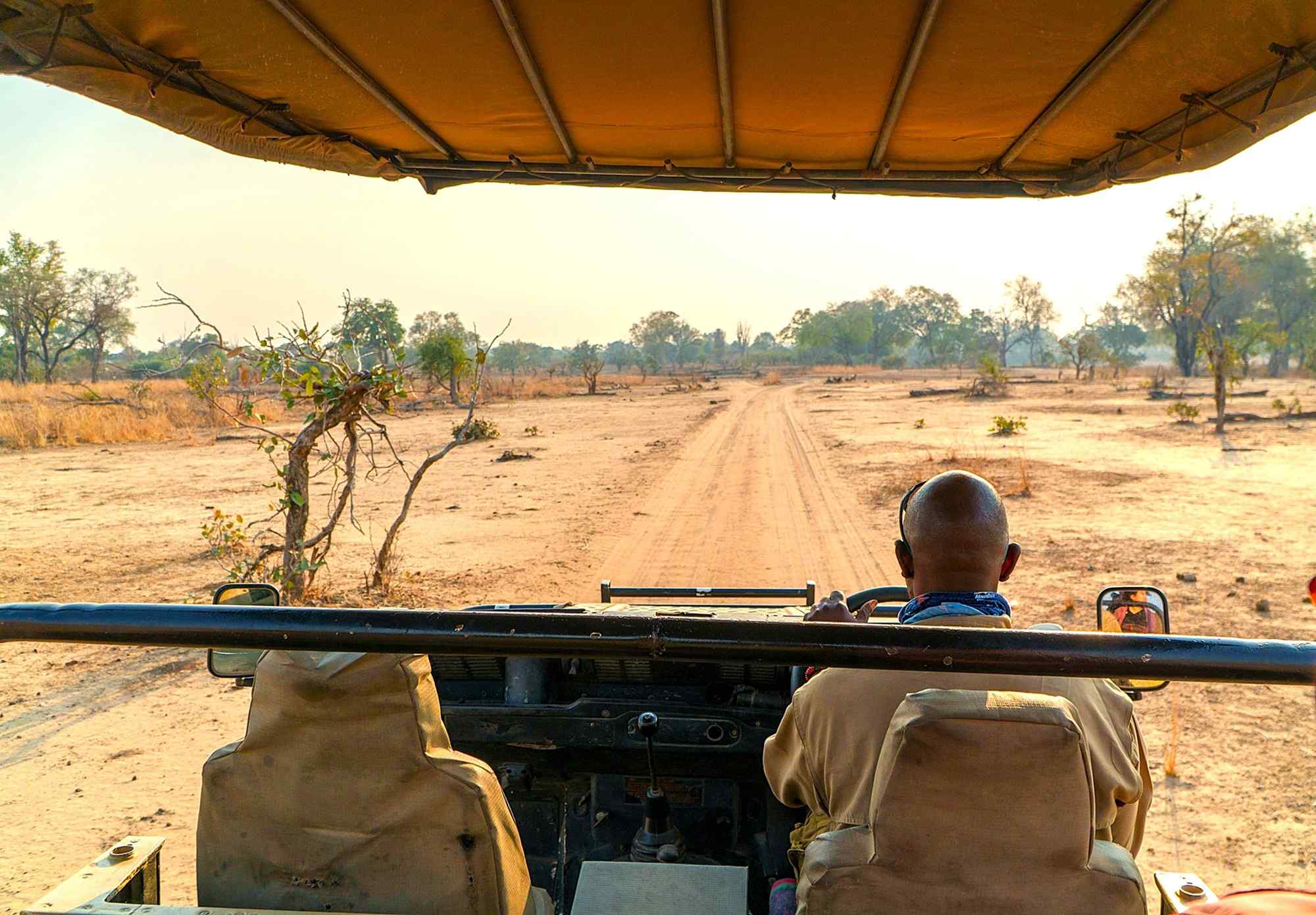 safari in Zambia