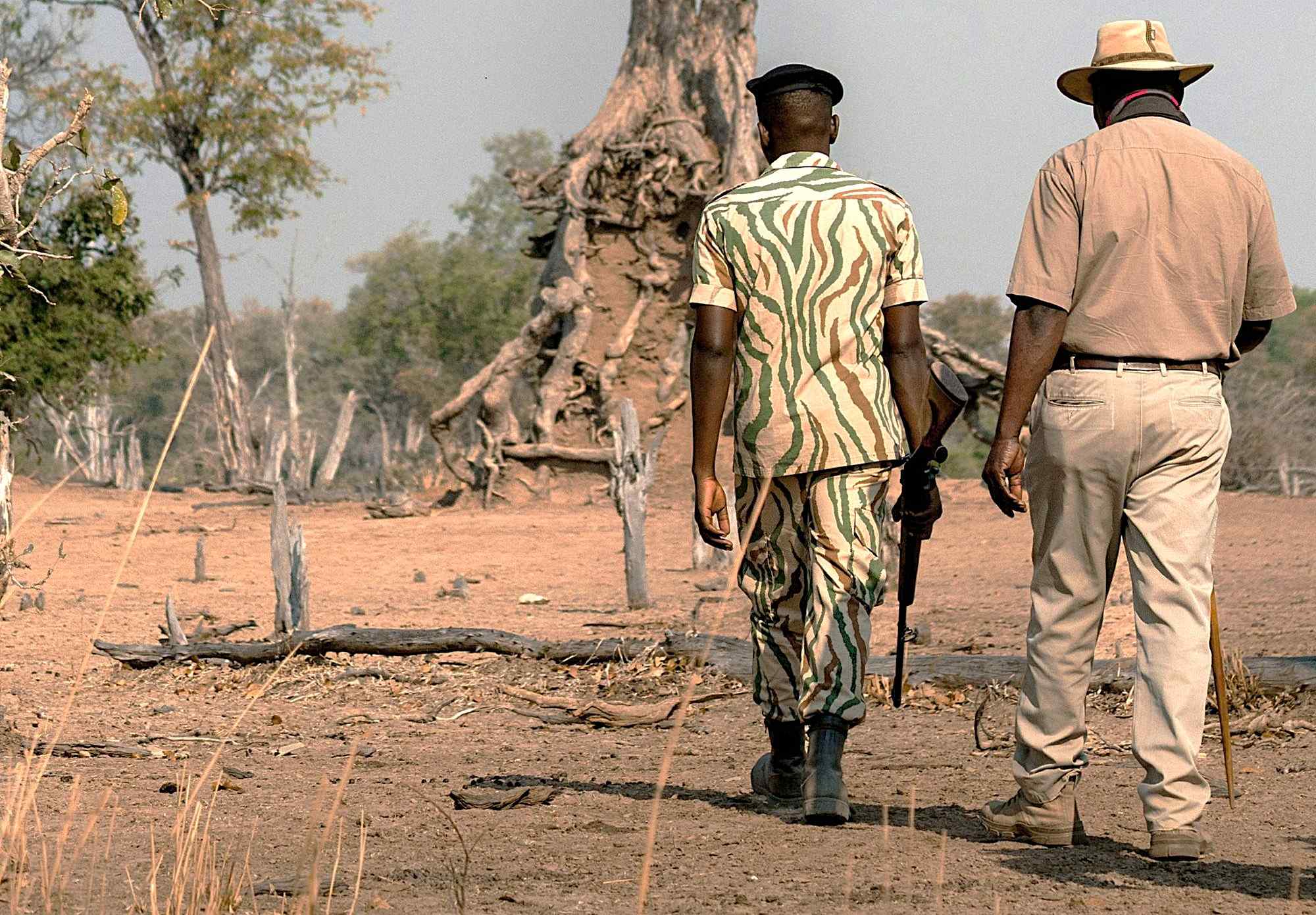 gidsen in Zambia