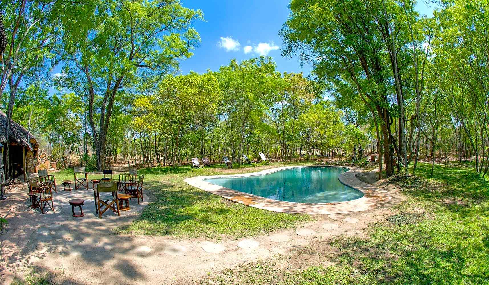 Zimbabwe-Hwange-Miombo-Safari-Lodge